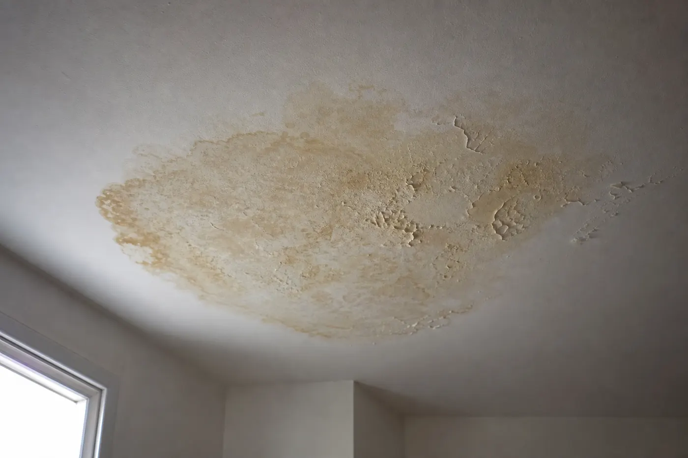 Auréole d’humidité brune sur un plafond blanc d’appartement, peinture cloquée sur les bords